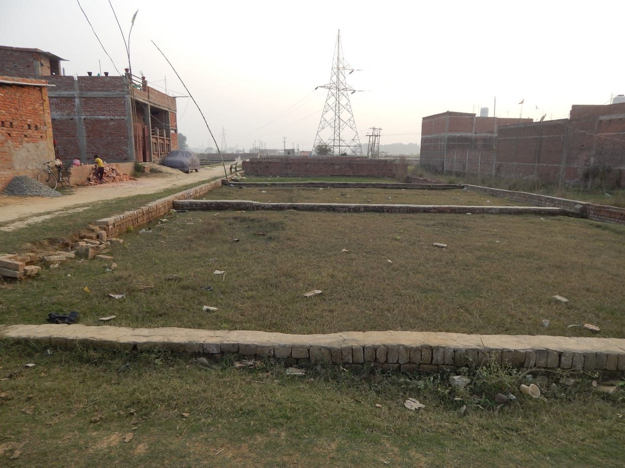 Colonies cut without layout, no action is taken