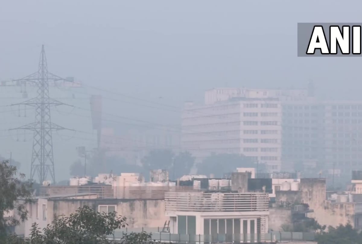 Delhi weather update cold waves continues in capital sun shines but chilling persist no relief from cold till 30 January