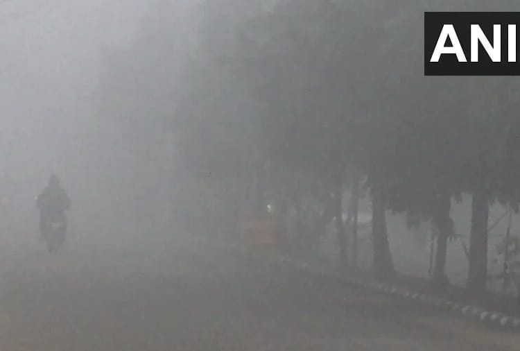 fog engulfs Ludhiana resulting in reduced visibility