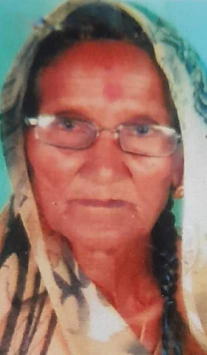 आनंदी आमा