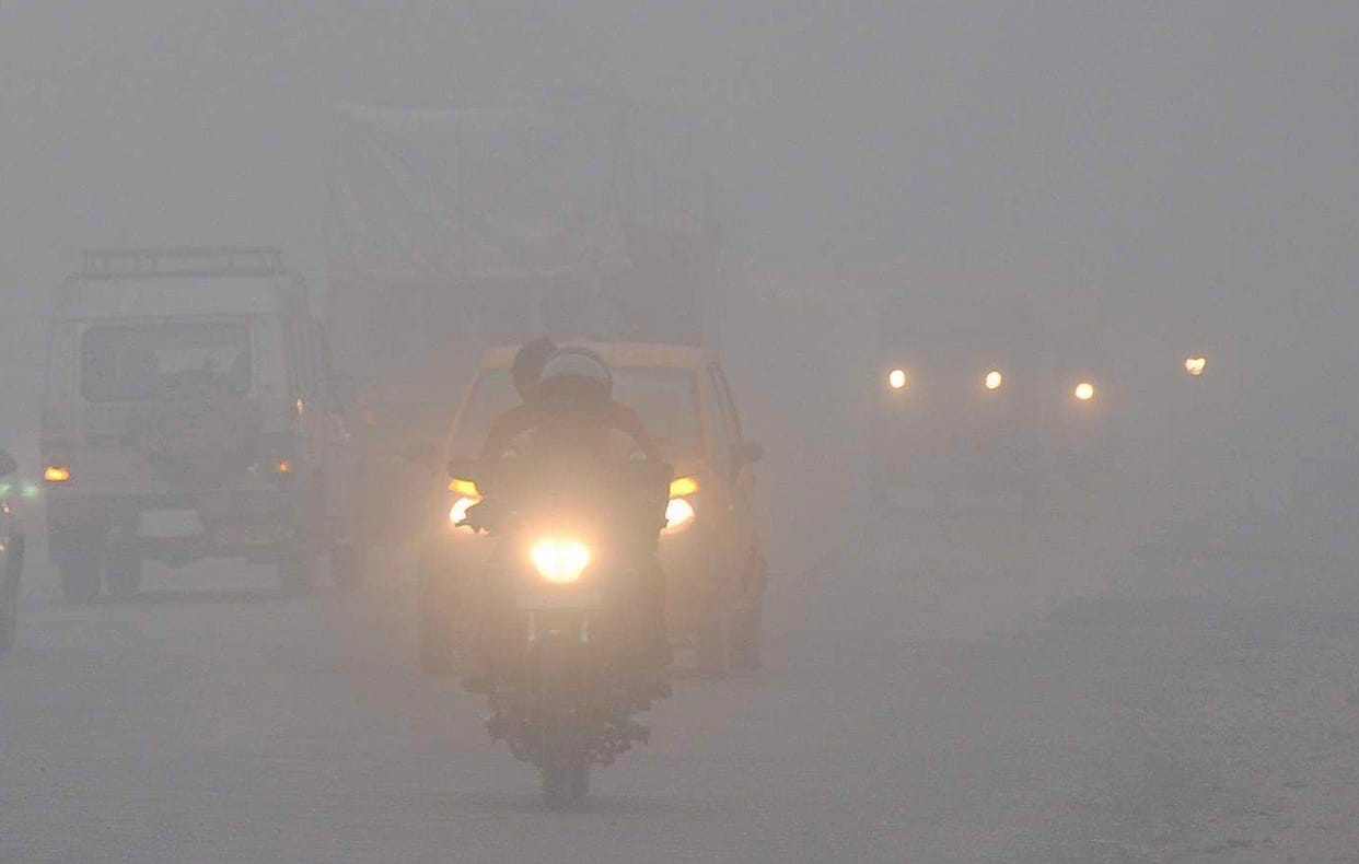Due to the cold wave, the minimum temperature dropped to four degrees.