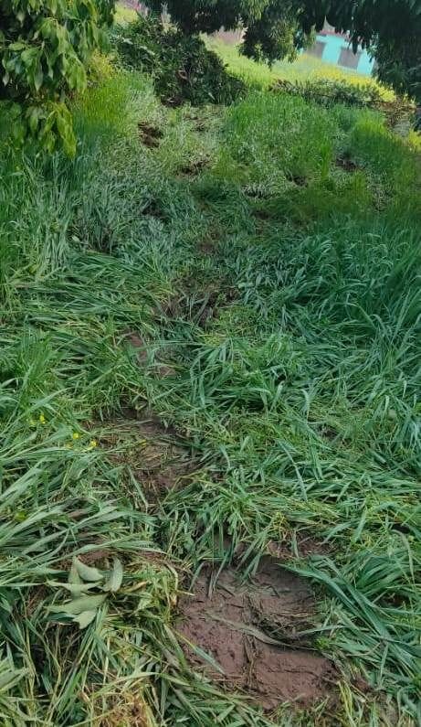 Conflict of Wildlife in Champawat