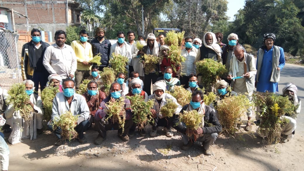 Demonstration of Samogar's farmer