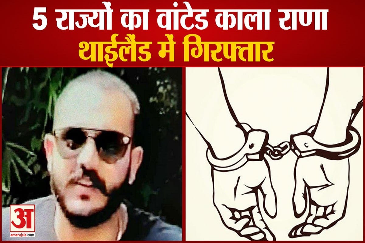 काला राणा