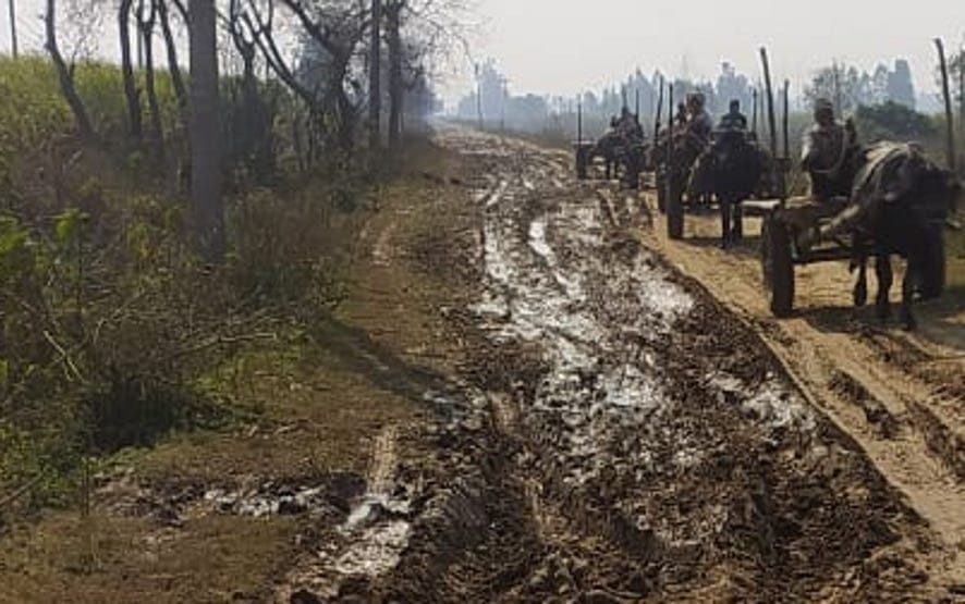 Farmers forced to transport sugarcane through bad road