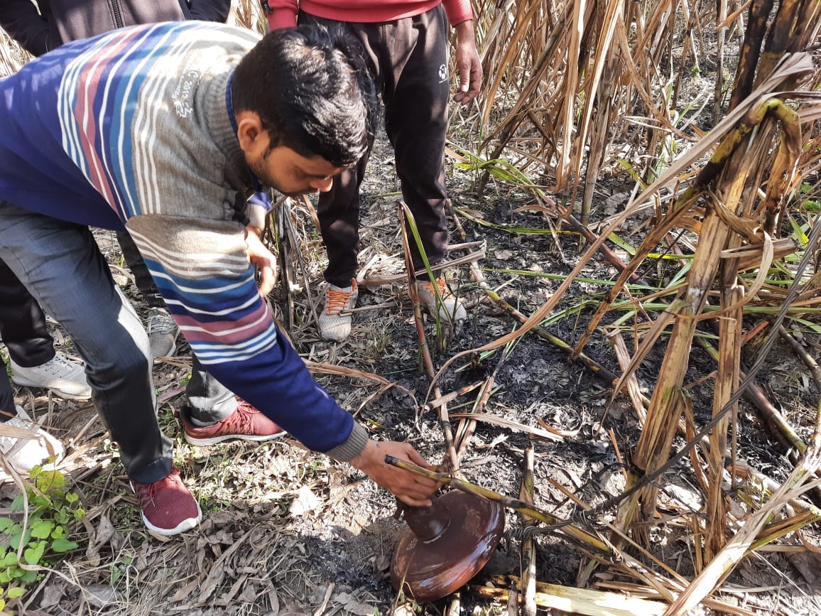 Sugarcane crop burnt due to break in insulator