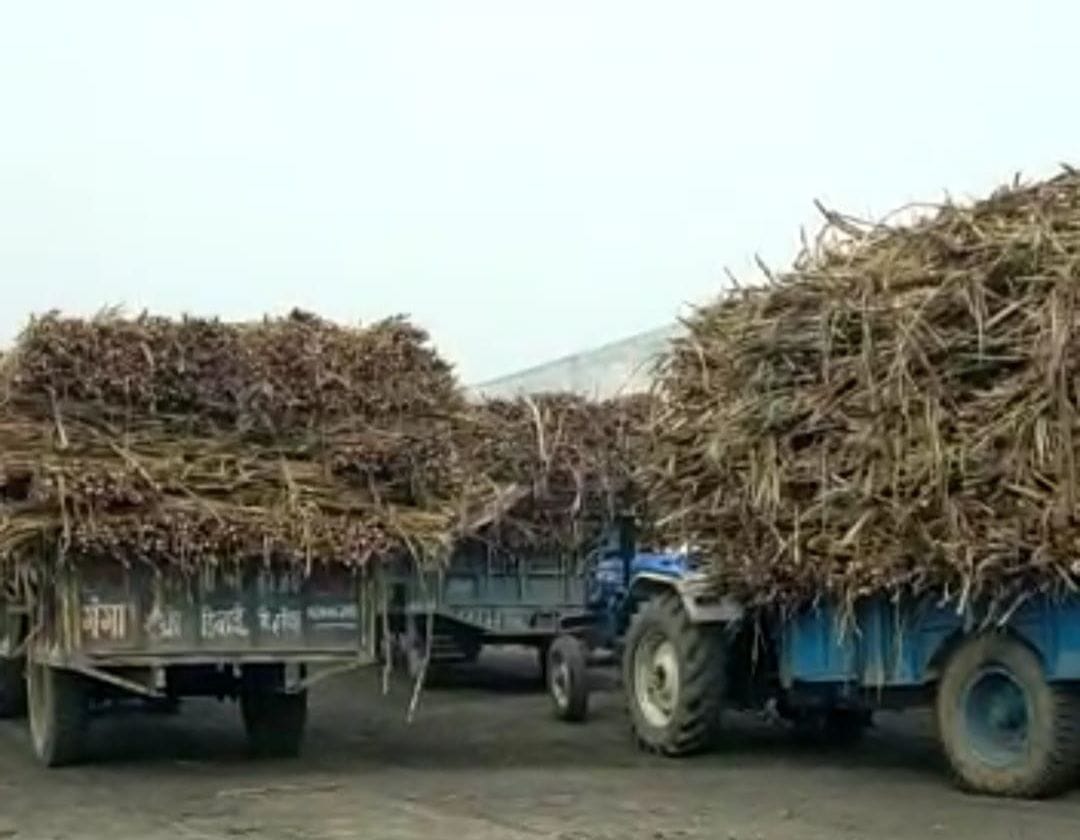 Satha Sugar Mill