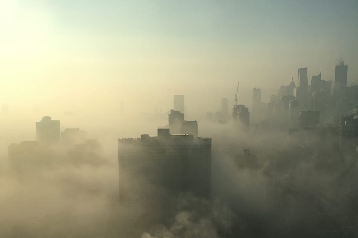 World Economic Forum report says urban population responsible for 70 percent carbon emission globally news in Hindi