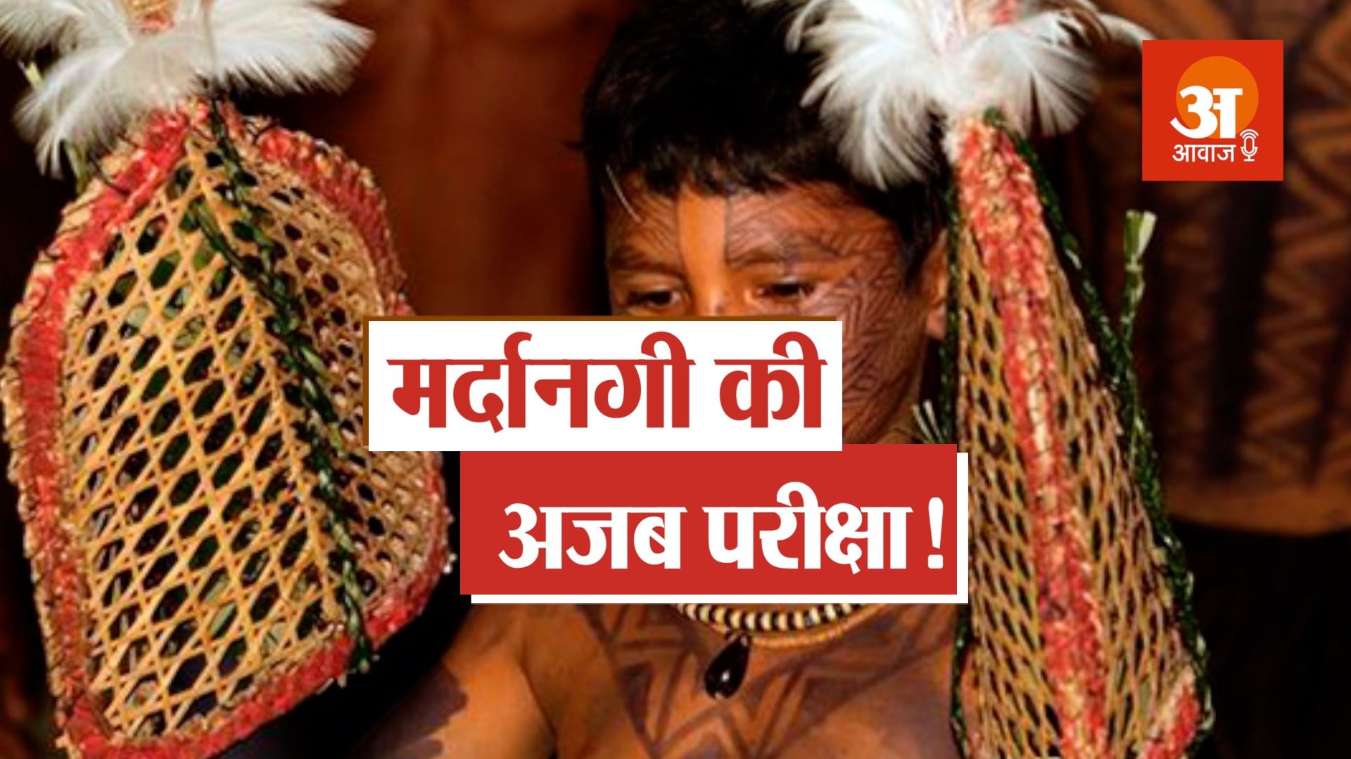 सातियारे-मावे