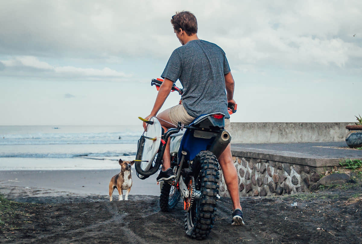 Bike Tips How to Dog to Stop Barking and Chasing at Bikers know the this tips for escape