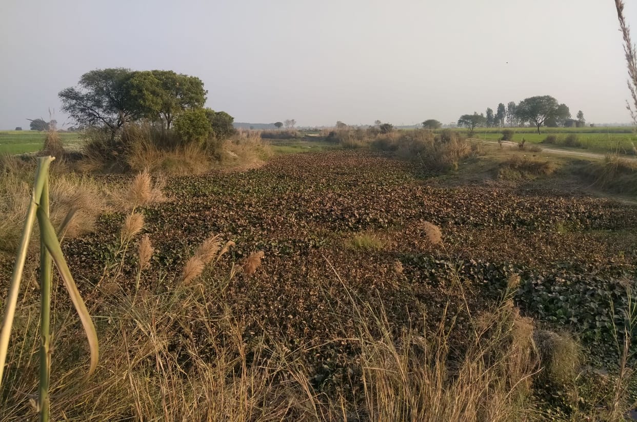 Old Ganga looking like a drain due to encroachment
