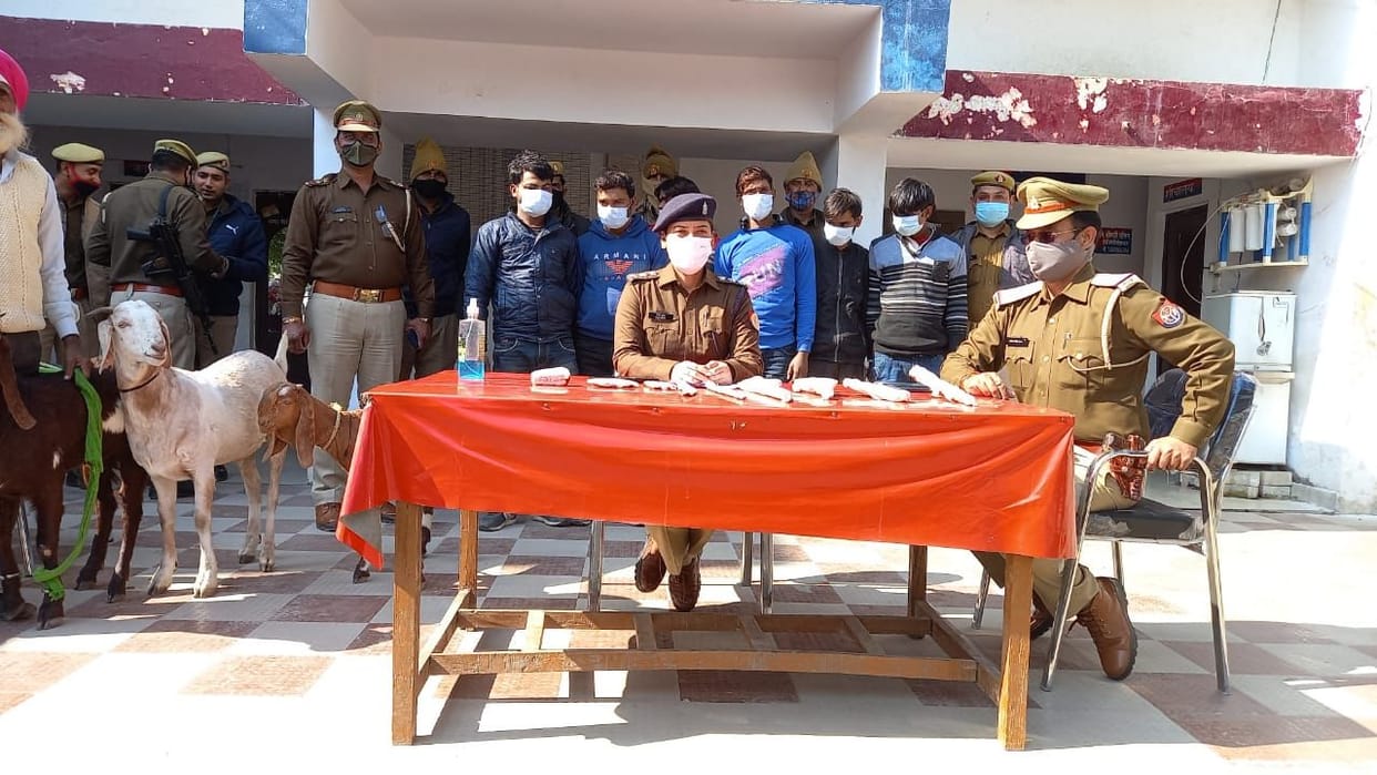 Hathras: Six accused of animal theft arrested