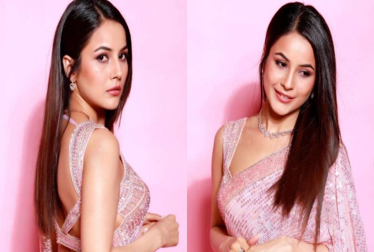 Viral Shehnaaz Gill looks glam in Manish Malhotra's sequin pink saree, shares jaw-dropping pics