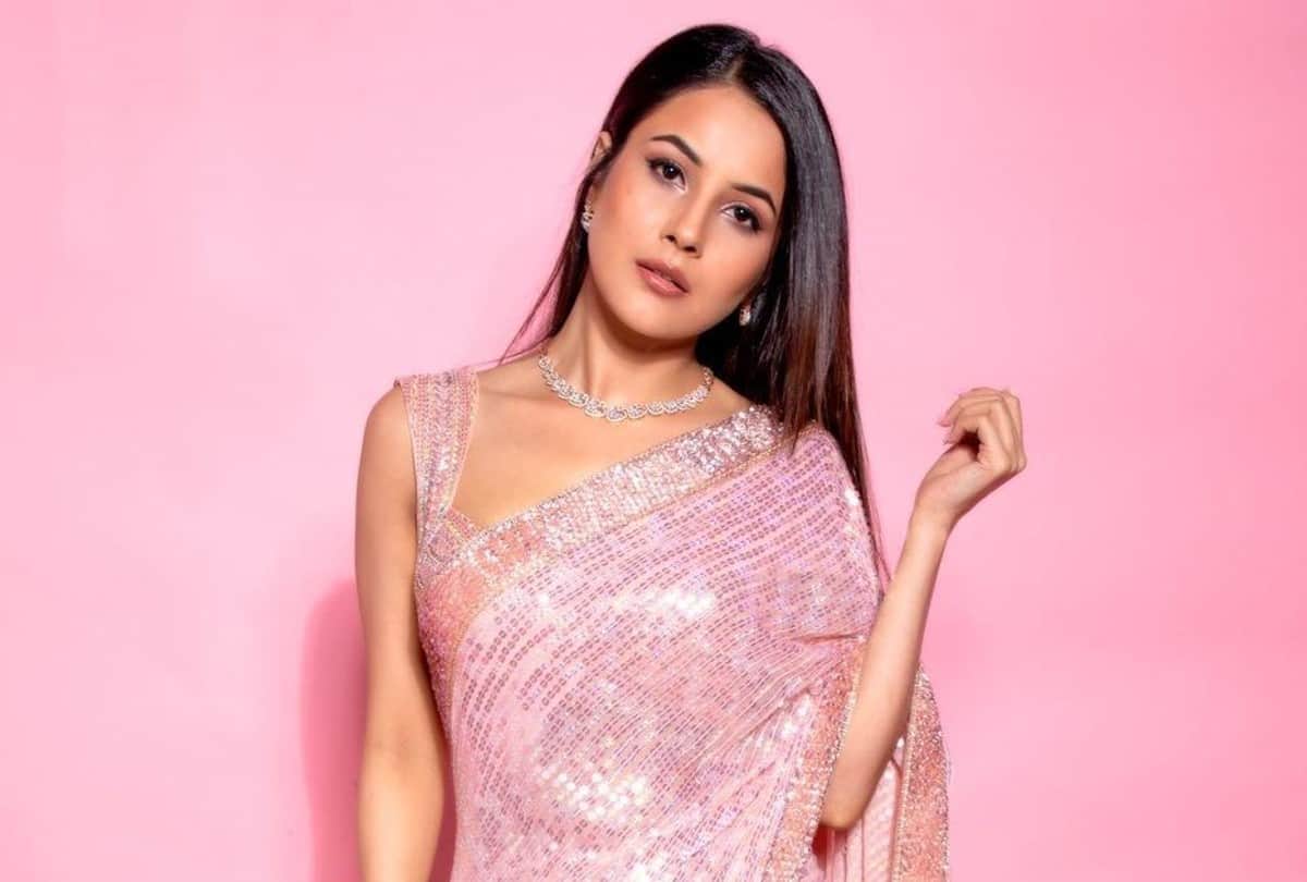 Shehnaaz Gill missed Siddharth Shukla while shooting for Salman Khan Kabhi eid Kabhi diwali film, could not stop tears