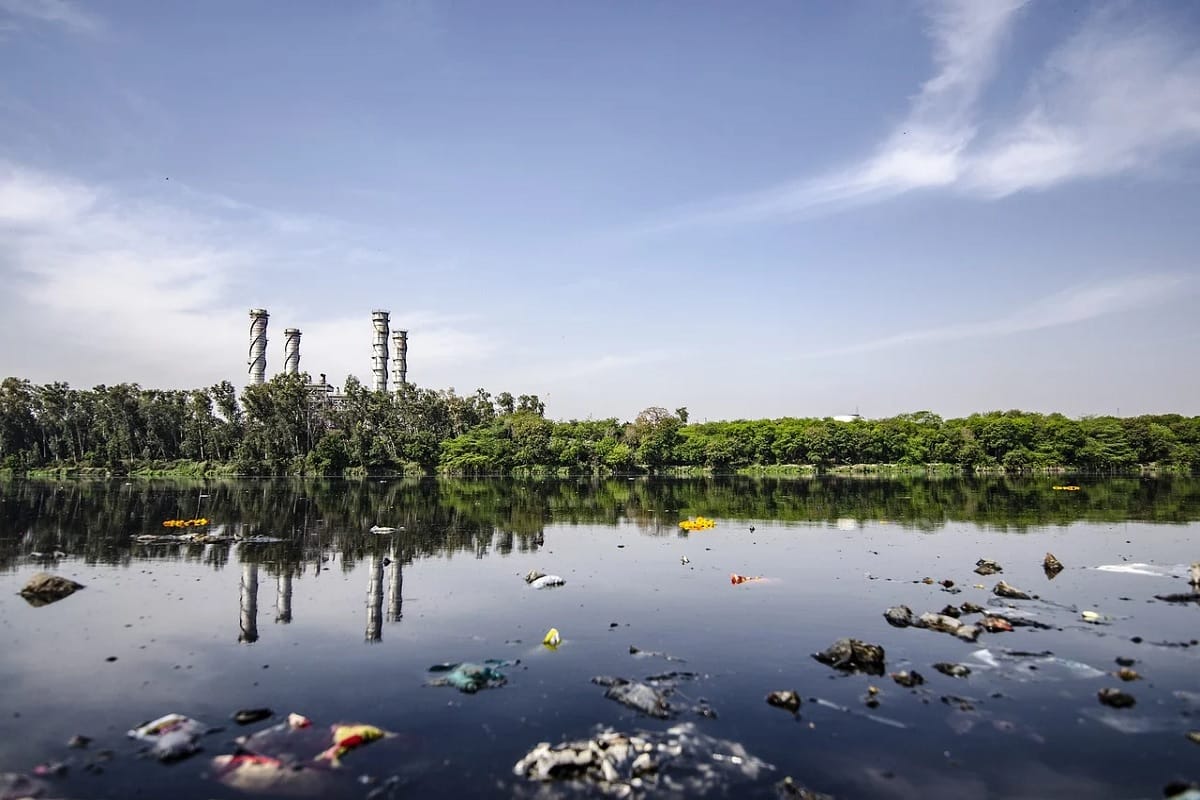 World Environment Day: Lung Cancer Risk Increase Because Of Air pollution Know How to Prevent it
