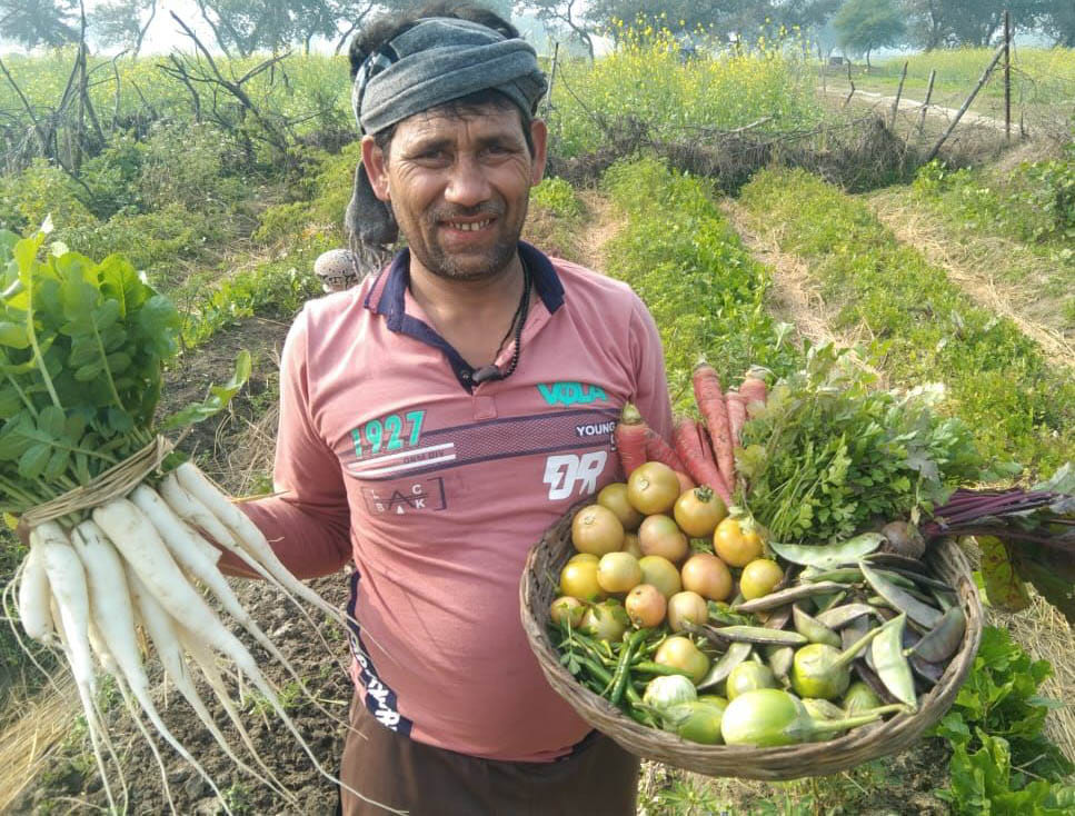 'Kitchen Garden' engulfed by garbage and dung manure