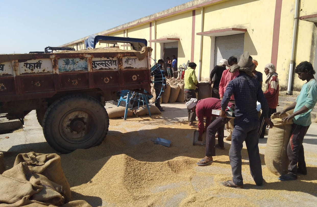 69 percent paddy purchase in the board in three months
