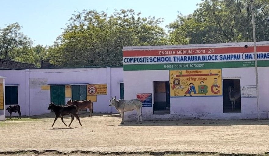 Hathras: The abandoned animals were imprisoned in the school, sent to the cowshed