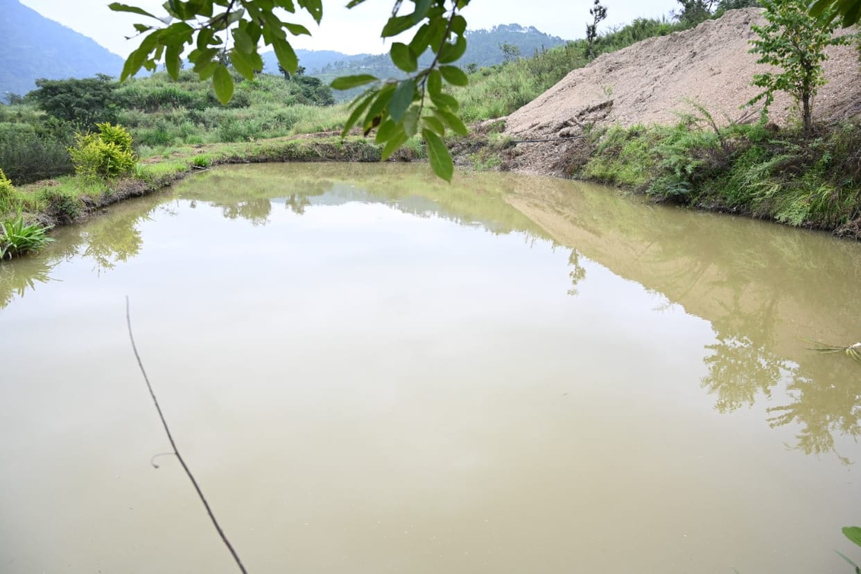 With agriculture farming fishing to enhance the income of farmers in Solan,Solan distt Nauni university