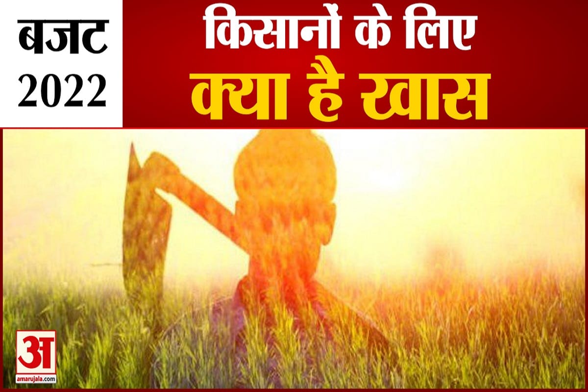 Budget 2022 Will farmer get benefit with this budget know what big announcements have the government made