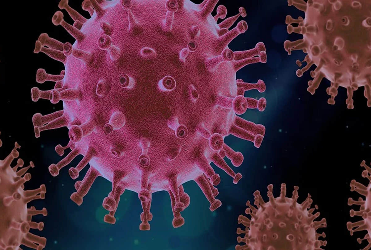 Top News Headline 13 May Today: Important and big news stories of 13 May updates on Amar Ujala