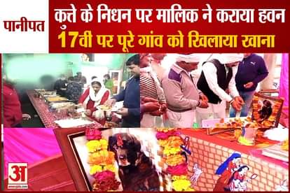 Panipat Worshiped On The Death Of A Pet Dog