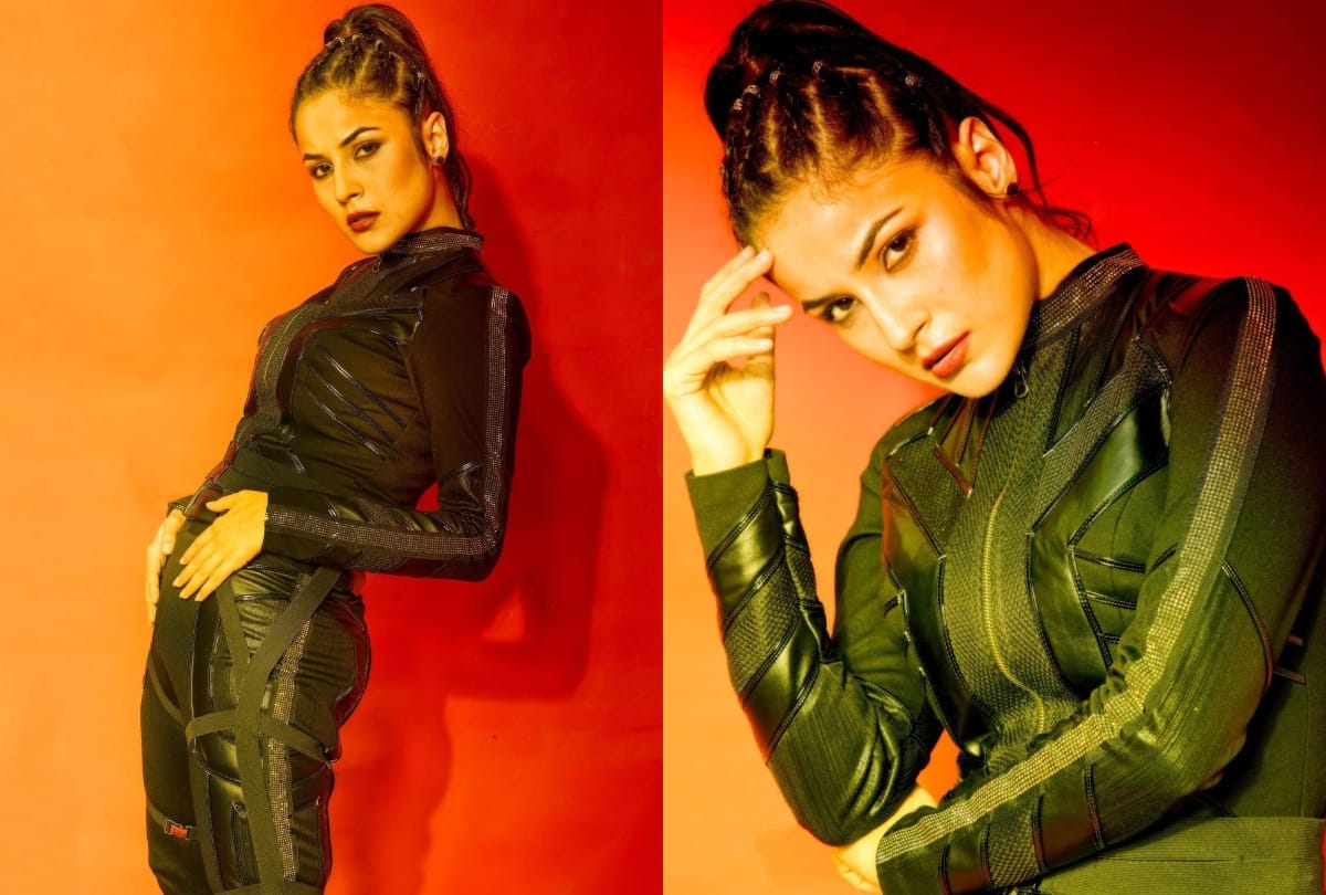 Bigg boss 13 fame Shahnaaz Gill shared pictures in a black outfit fans said Sher Ki Sherni