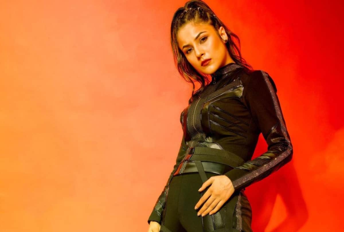 Shahnaz Gill misbehaves with fans in Ask Me Anything