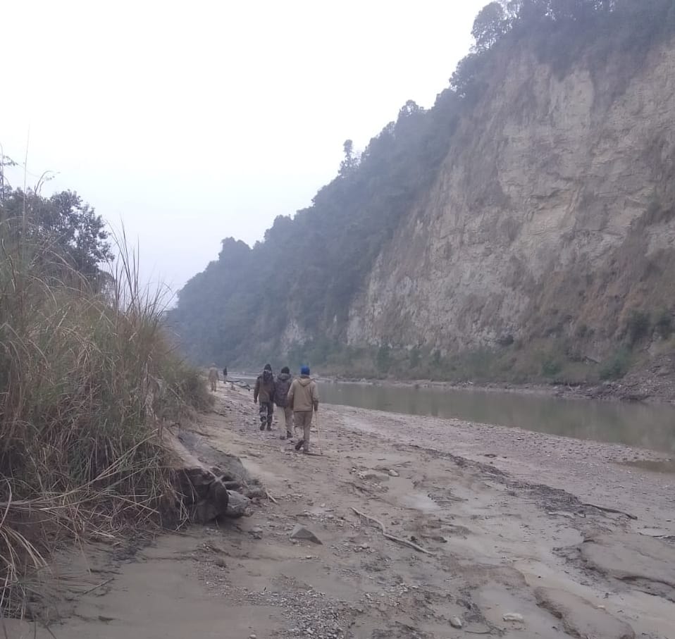 Wild Aniamals in Corbett Park