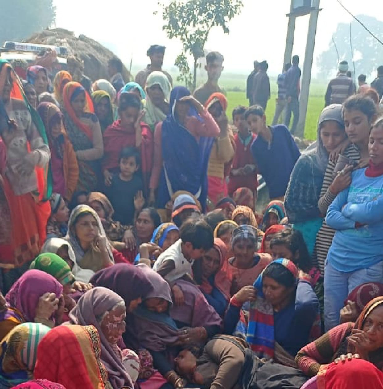 To save the crop, the current ran in the wires in the field, the death of the farmer