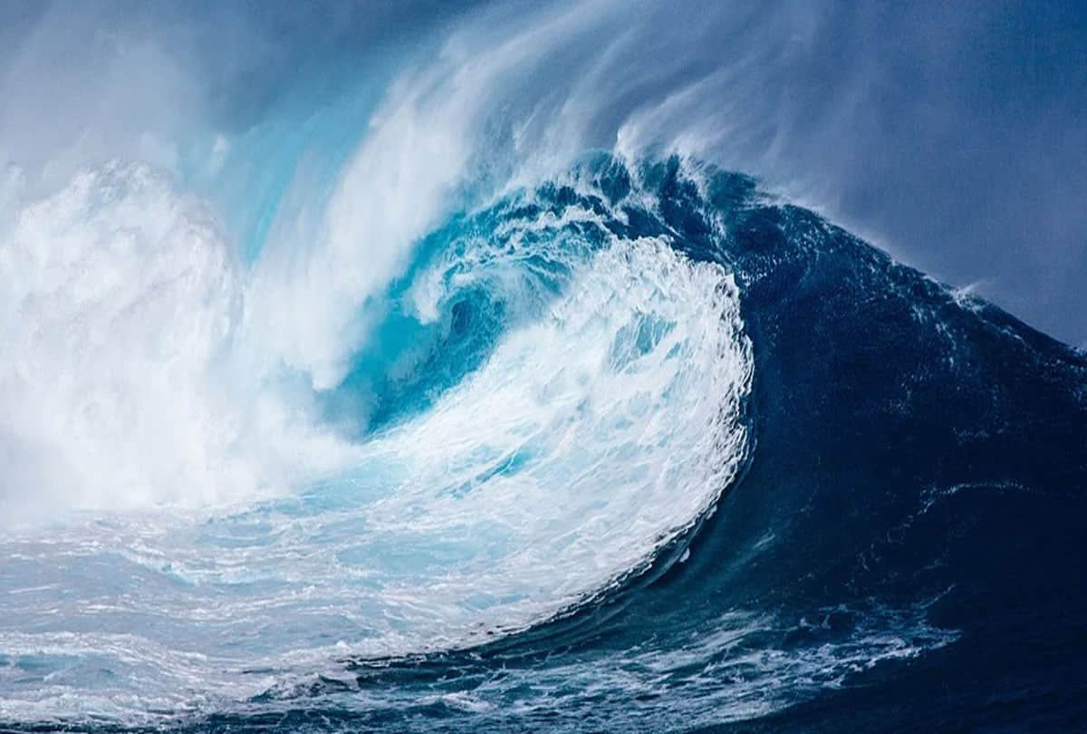 fishes are suffocating due to climate change because oceans will be severely depleted of oxygen