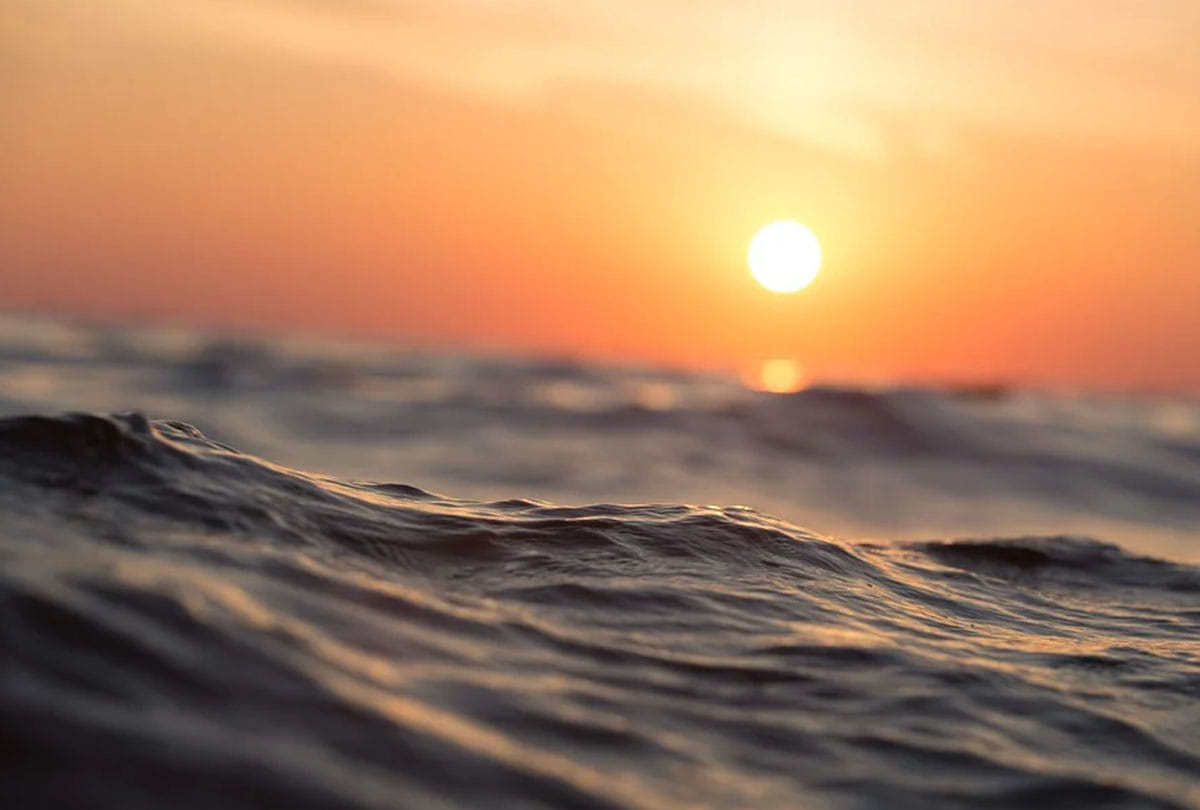 New Survey report says 50 percent of youth dont know about climate Change
