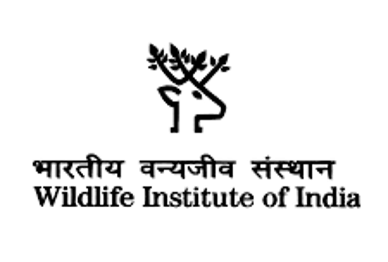 Great Indian Bustard verge of extinction in the country