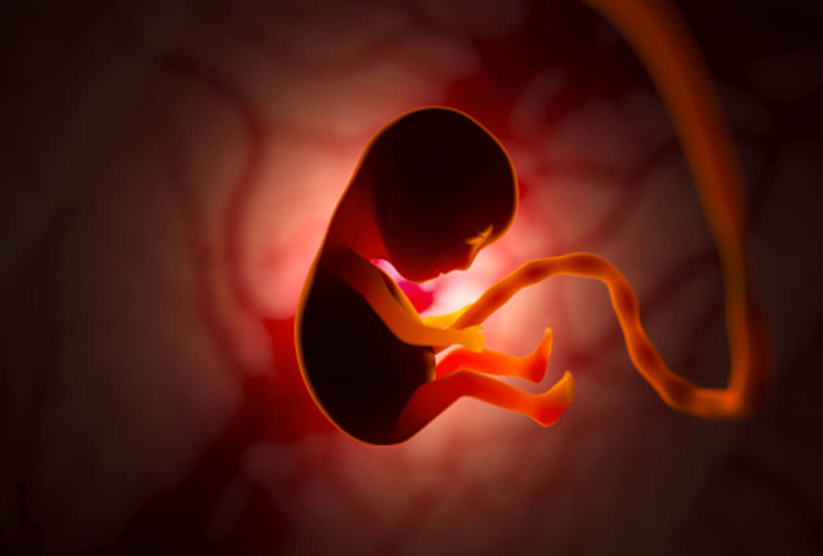 Now artificial womb ai nanny is feature of child development know about it