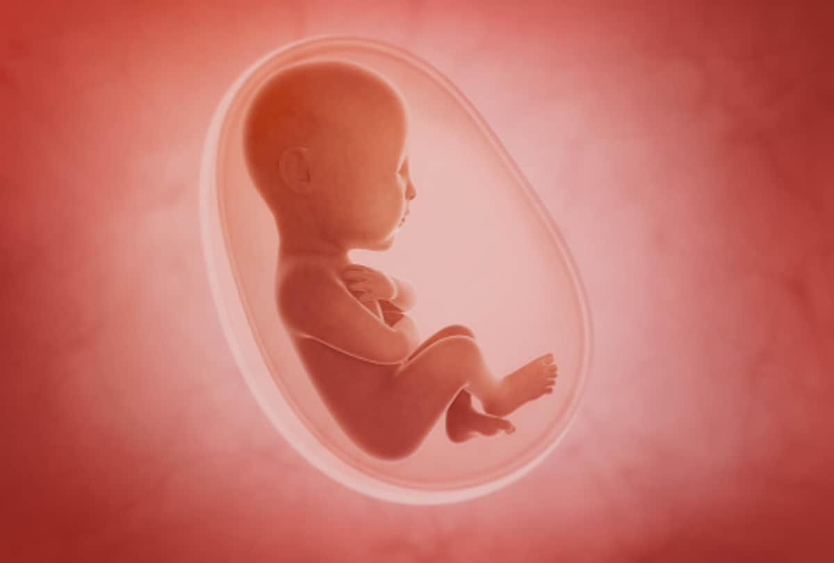 Now artificial womb ai nanny is feature of child development know about it