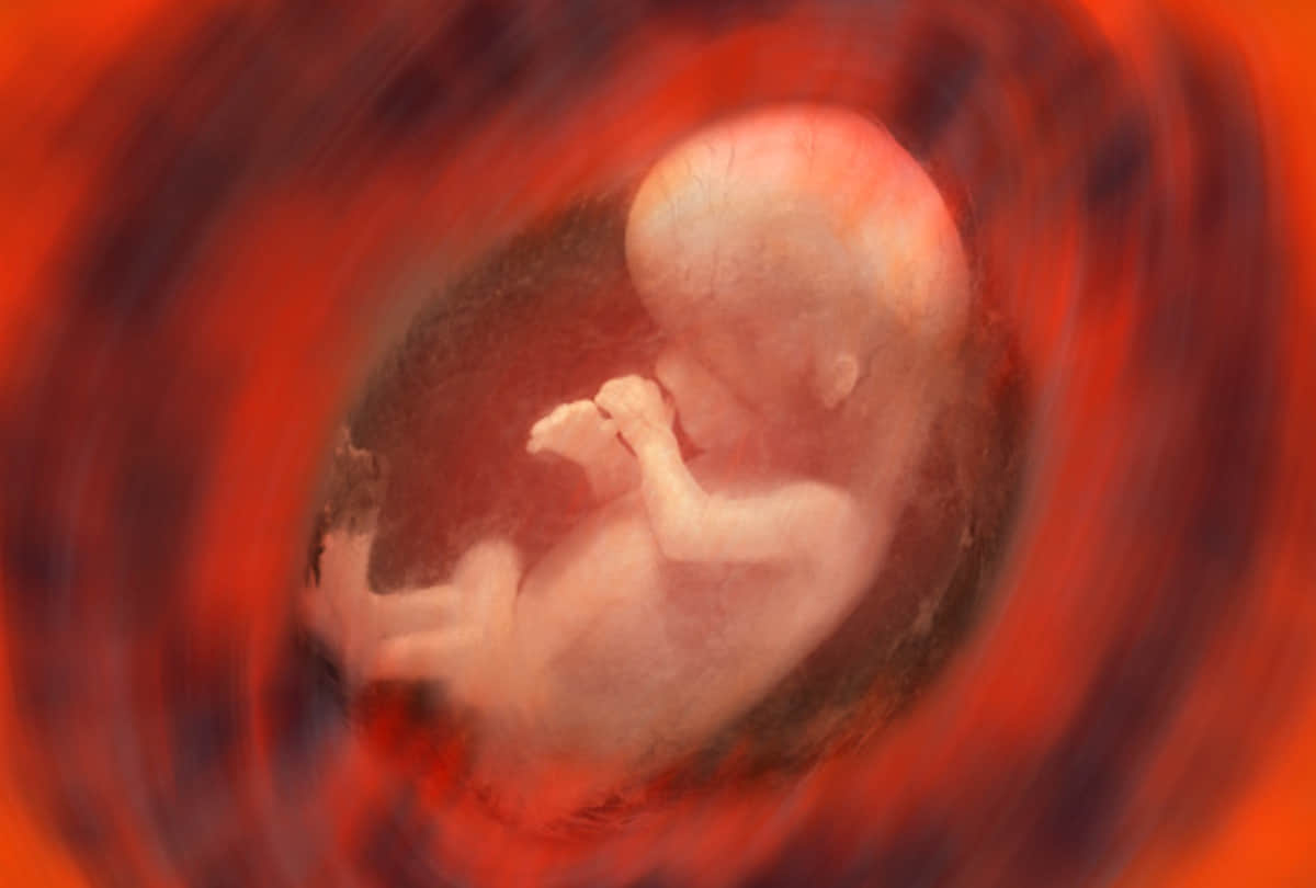 Now artificial womb ai nanny is feature of child development know about it