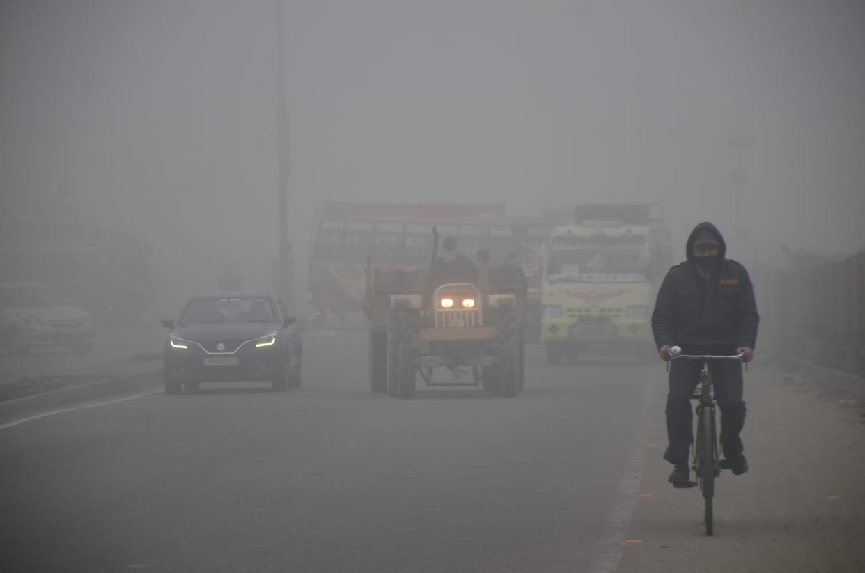 Fog affected normal life, cold increased