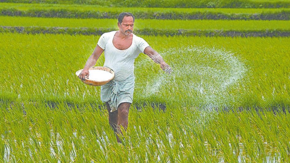 No Mandi Samiti in Haldwani