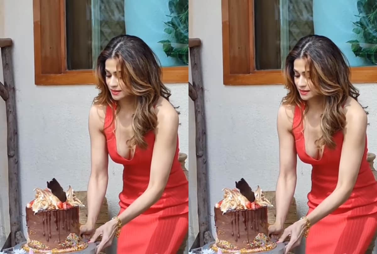 shilpa shetty threw a birthday bash for her sister shamita shetty