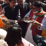 भोपाल में बैरसिया की गोशाला में गायों की मौत के मामले में प्रदर्शन करते हुए कांग्रेस नेता।