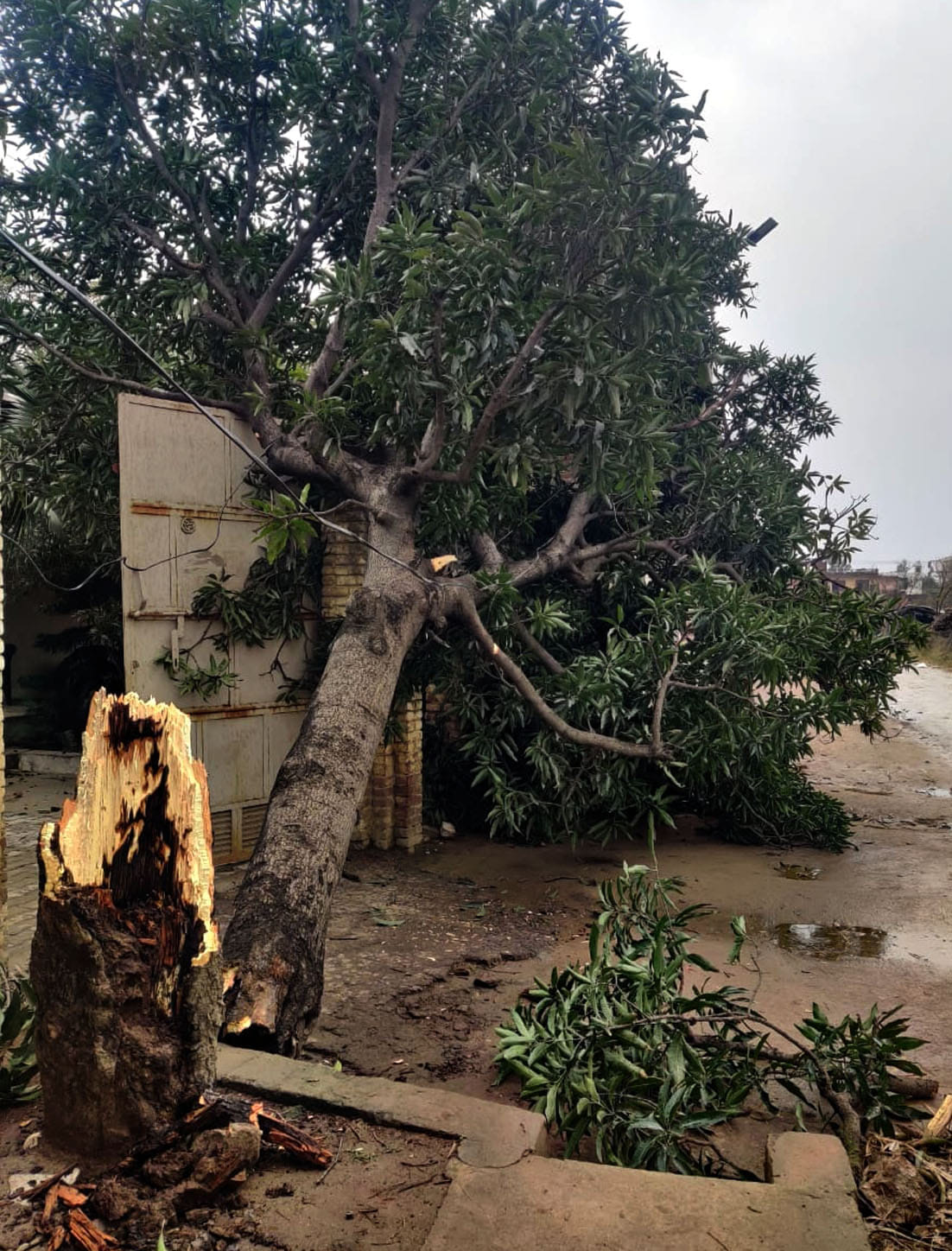 Lights went off in more than 40 villages due to rain and strong wind