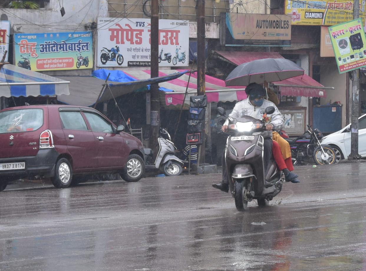 Wheat and mustard crops damaged due to rain