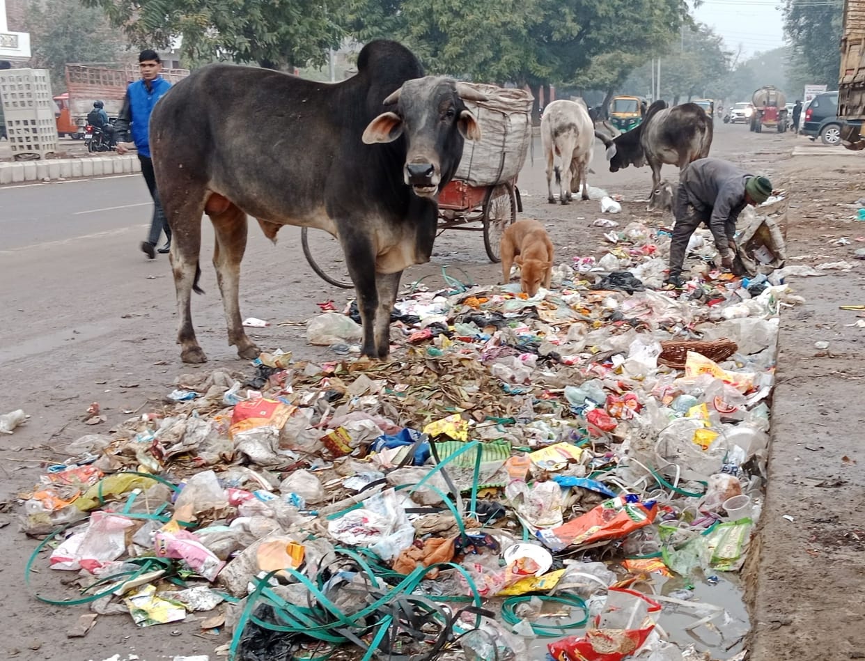 Contractor work free for negligence in picking up garbage from home, improvement was not done even after instructions