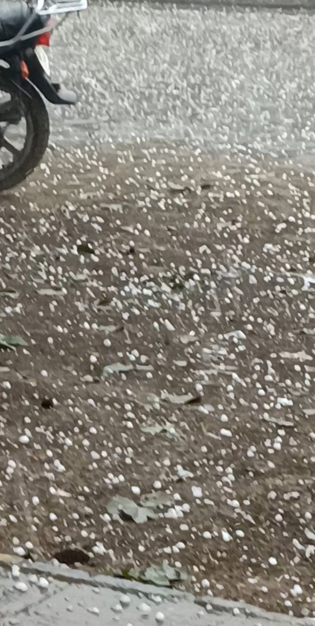 Hathras: There is a possibility of damage to the potato crop due to rain-hail