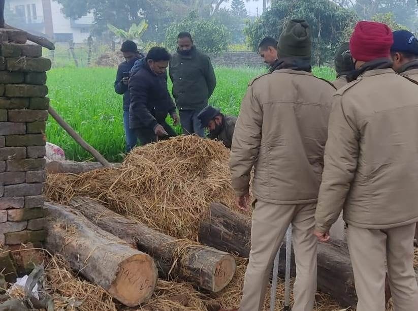 Timber Seazed in Banbasa And Tanakpur