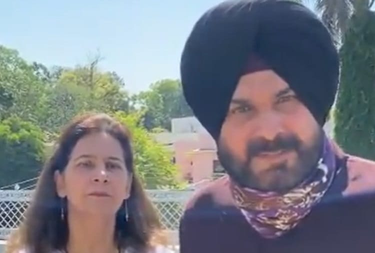 Punjab Election 2022: Navjot Kaur Sidhu Interview, Said If She And Navjot Sidhu Losses In Politics Will Return To Old Profession