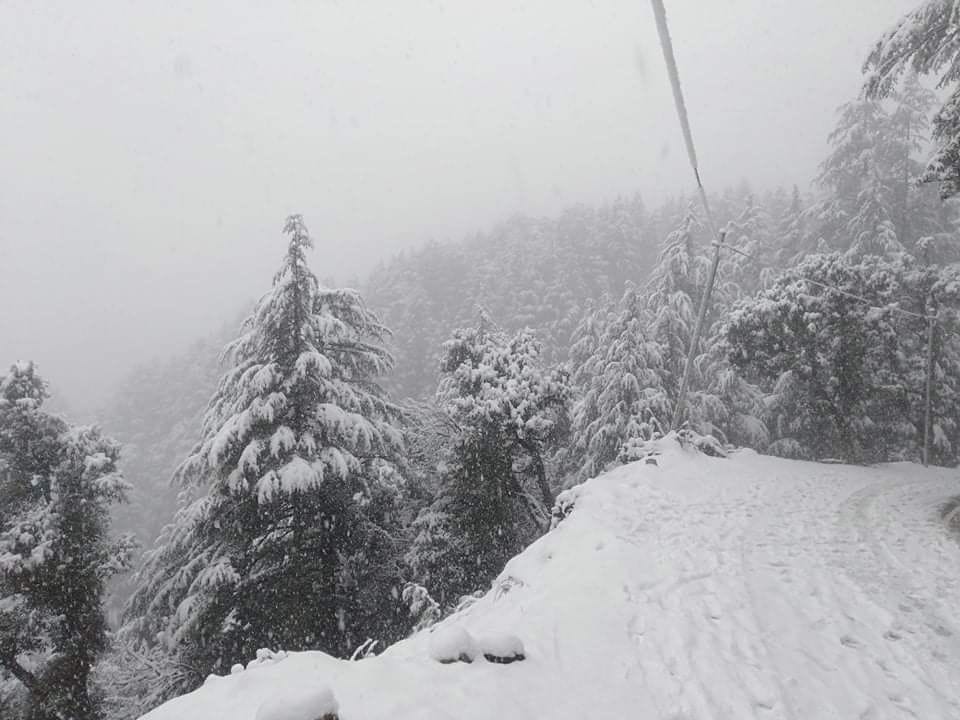 Seraj, Kamrunag and Chauhar Ghati cut off due to snowfall