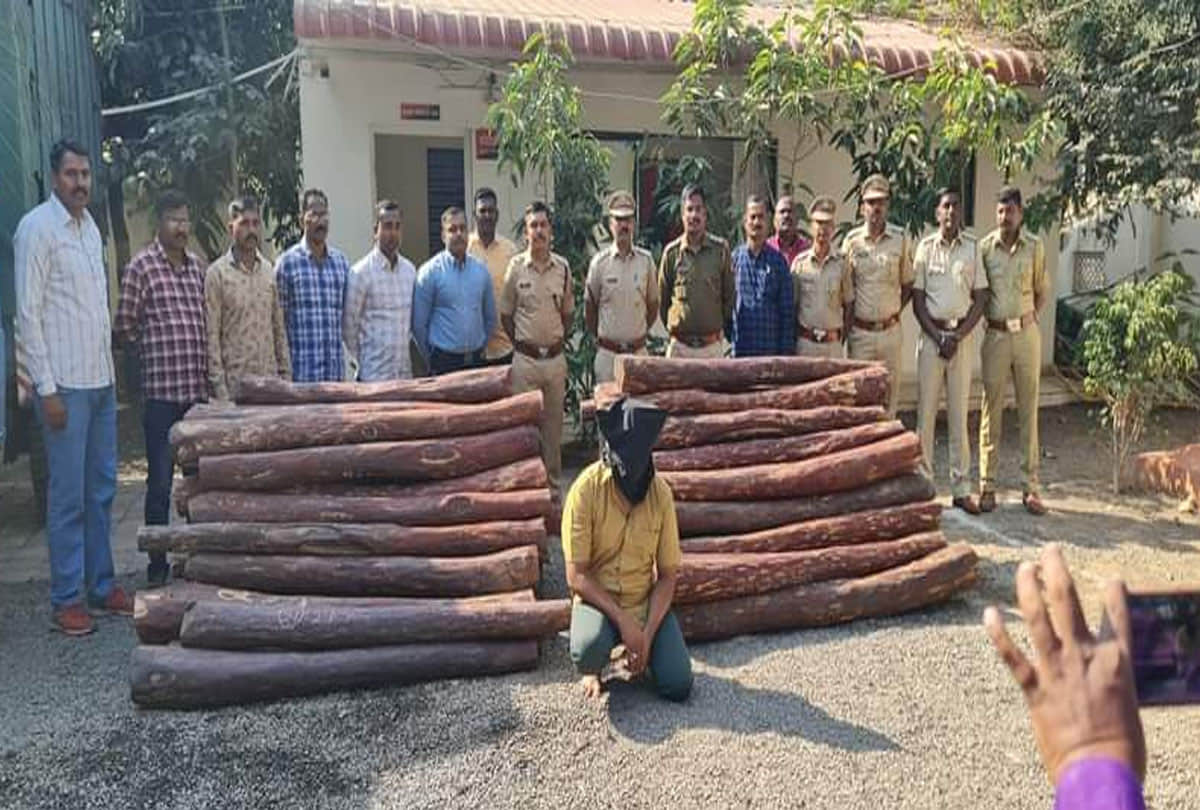 man smuggled red sandalwood in pushpa style in bengaluru people started enjoying