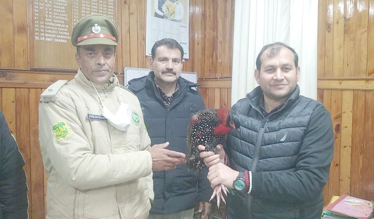 The forest guard saved Jujurana