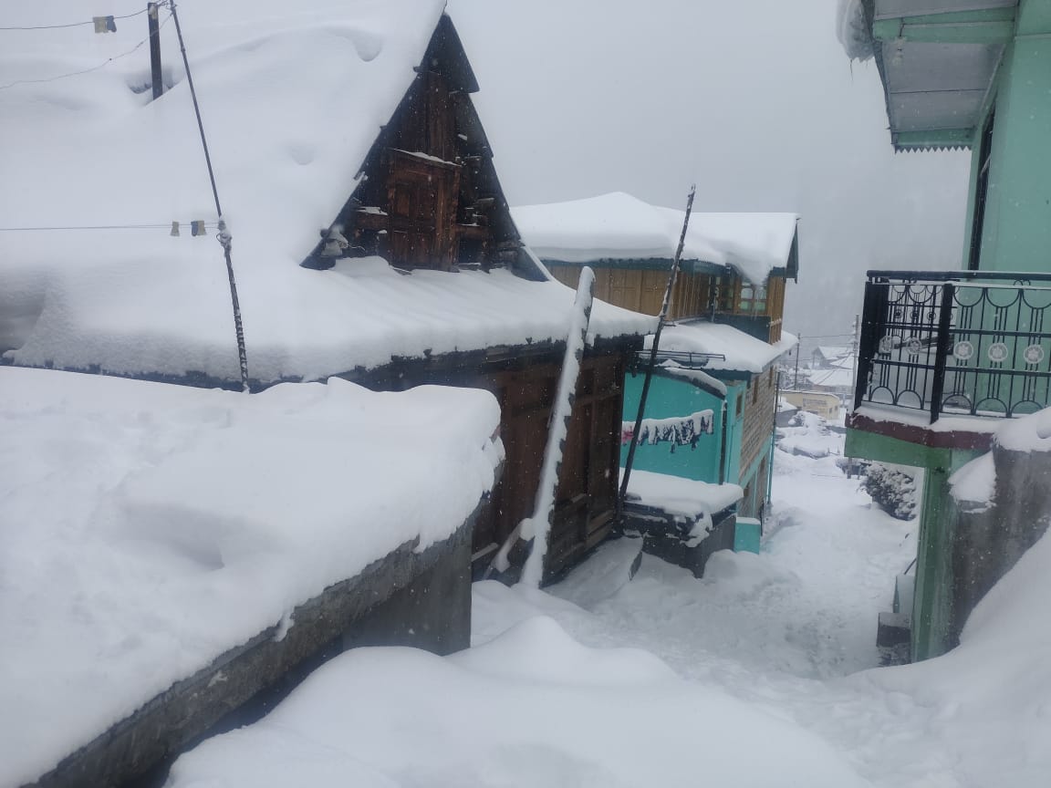 Wheels of buses stopped in Kinnaur due to snowfall